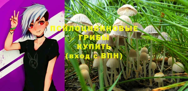 PSILOCYBIN Волосово