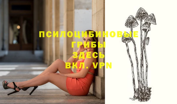 кокаин премиум Богородицк