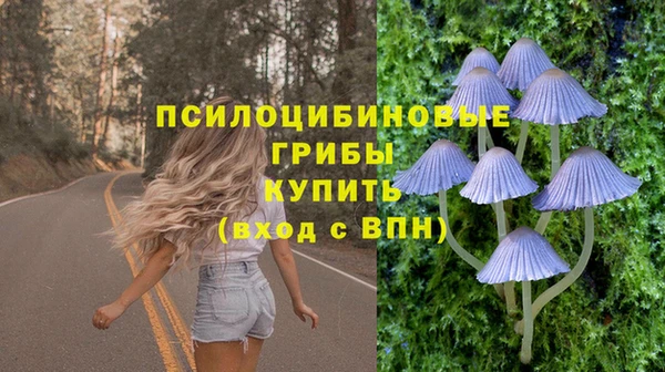 соль ск Богородск