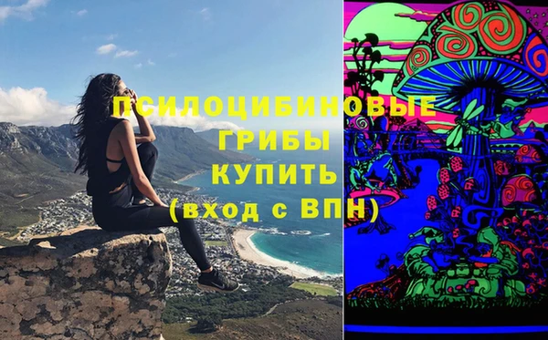 кокаин премиум Богородицк