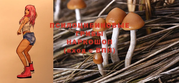 PSILOCYBIN Волосово