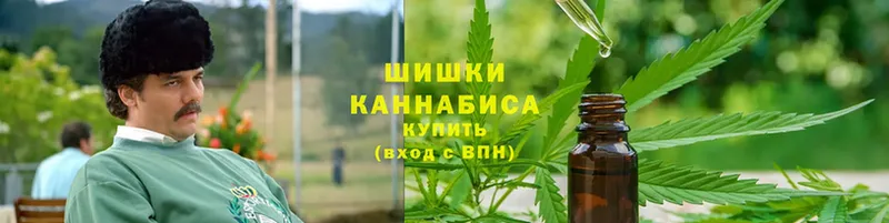 купить  цена  Дигора  Бошки марихуана Ganja 