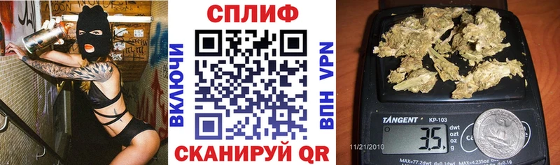 Канабис White Widow  где продают наркотики  Дигора 